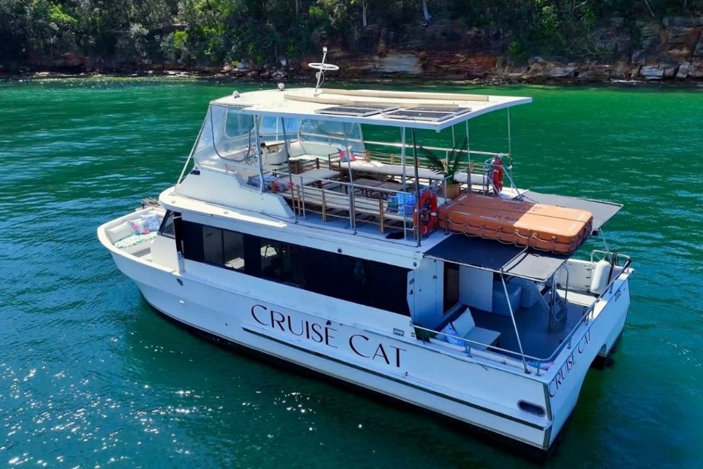 Cruise Cat Resized (9)